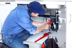 Best Trenchless Pipe Repair  in Munsey Park, NY